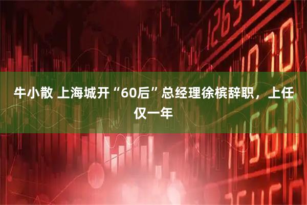 牛小散 上海城开“60后”总经理徐槟辞职，上任仅一年