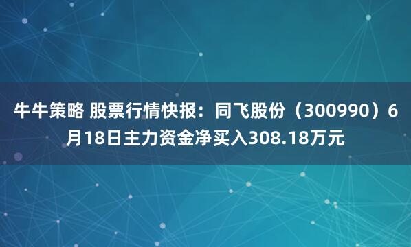 牛牛策略 股票行情快报：同飞股份（300990）6月18日主力资金净买入308.18万元