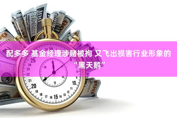 配多多 基金经理涉赌被拘 又飞出损害行业形象的“黑天鹅”
